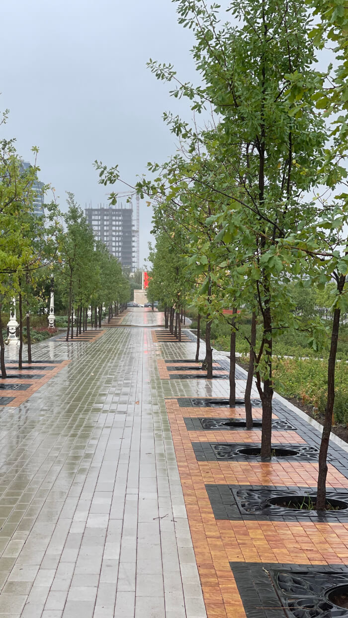 Приствольная решетка для дерева ZKING CRUST 1.2х1.2м Черная в Сочи фото