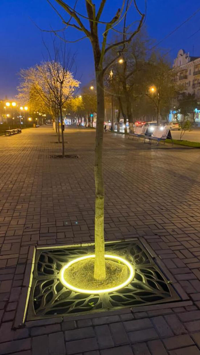 Приствольная решетка для дерева ZKING CRUST 1.2х1.2м Черная в Сочи фото